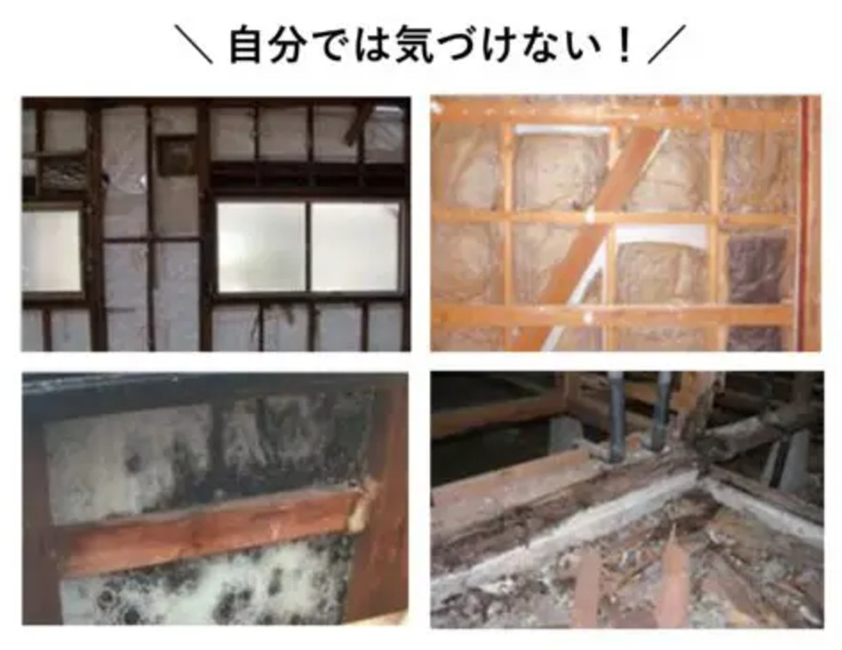 壁の中・床下・天井裏の傷み