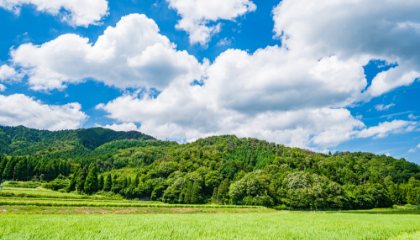 土地コスト　写真