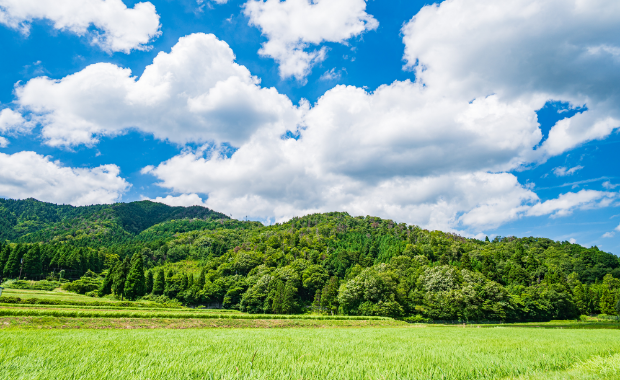土地コスト　写真