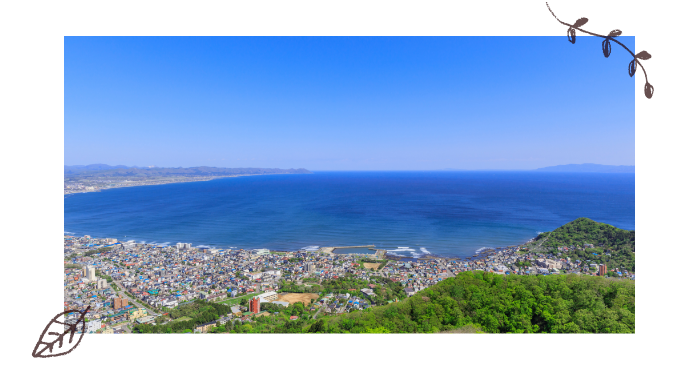 青森県　地元密着　写真