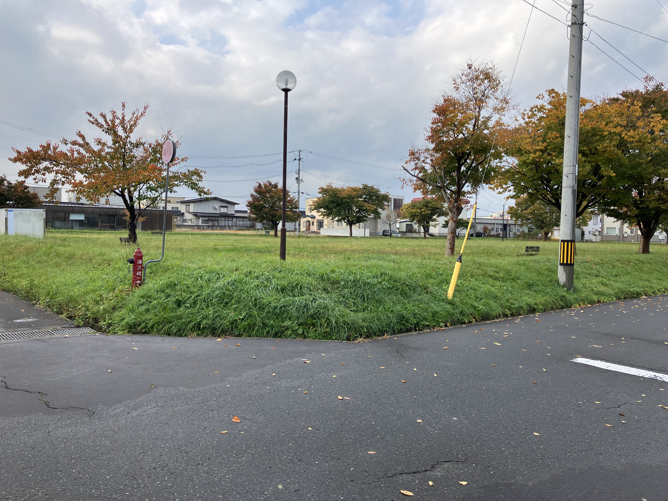 近くには公園も